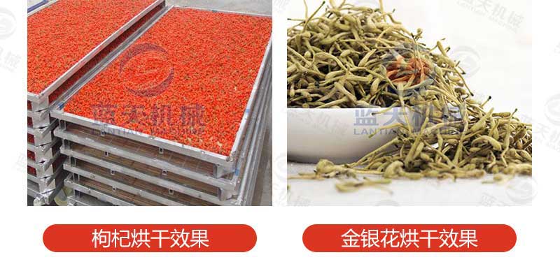 羊肚菌烘干機烘干效果