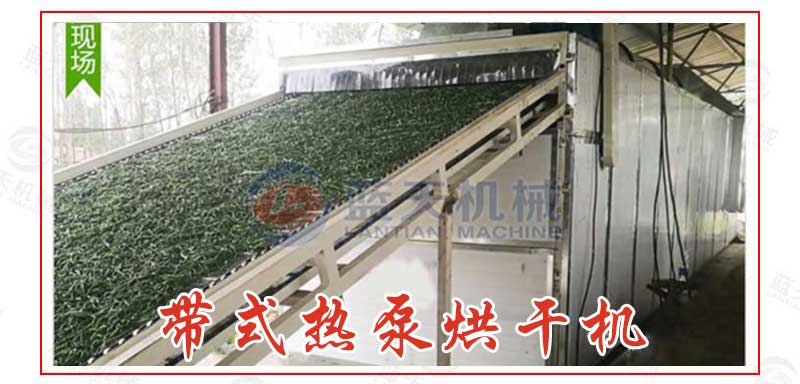 帶式羊肚菌烘干機
