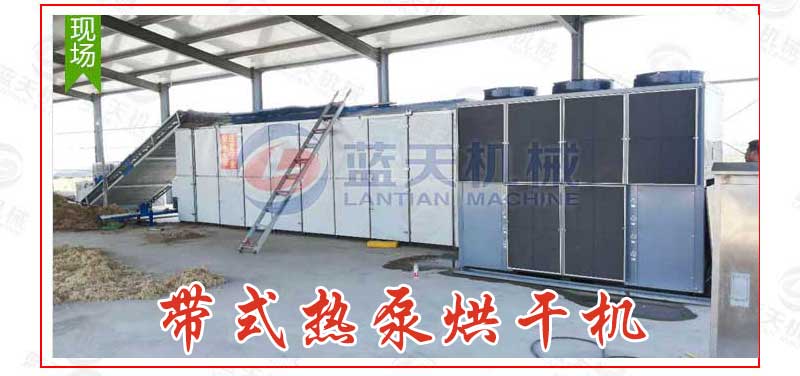 帶式羊肚菌烘干機