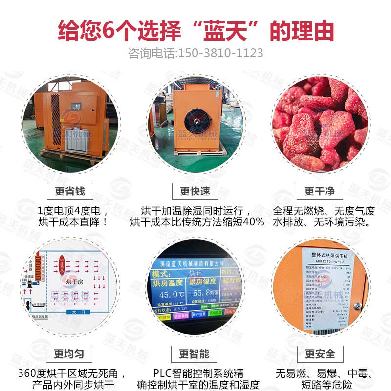 藍(lán)天草莓烘干機(jī)