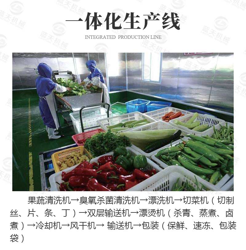 果蔬氣泡清洗機一體化生產(chǎn)線